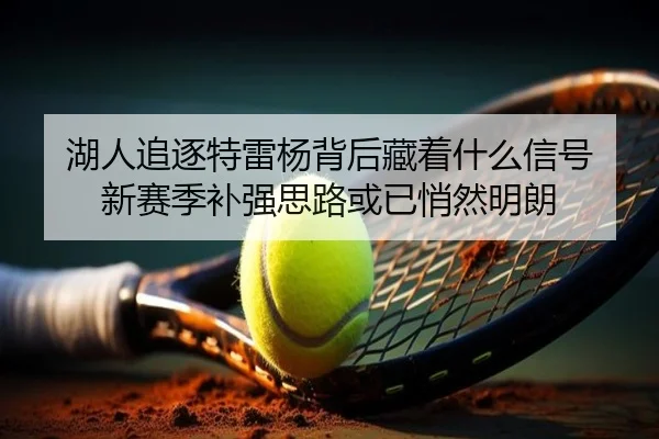 湖人追逐特雷杨背后藏着什么信号 新赛季补强思路或已悄然明朗 | NetEaseSports